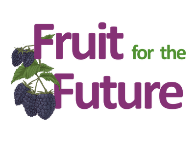 F4F logo 2026 no background-1-1-1